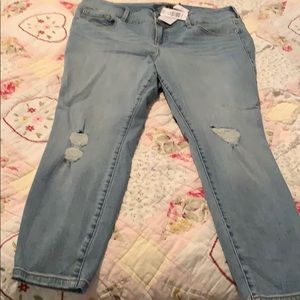 Torrid begging size 18- extra short